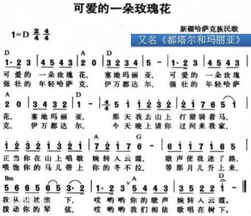 《九百九十九朵玫瑰》是哪首歌？答案即将揭晓