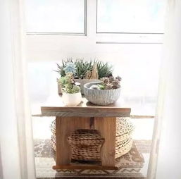 常春藤，爬满窗台的绿色瀑布