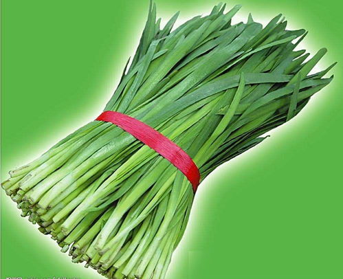 韭菜锈病的传播途径