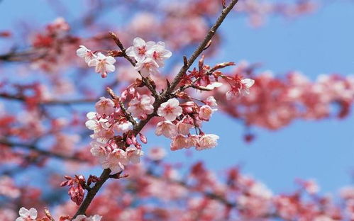 概念上的大不同