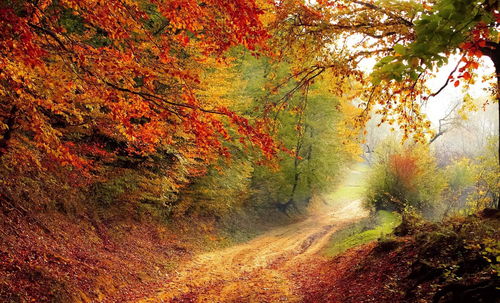 小编的种植心得