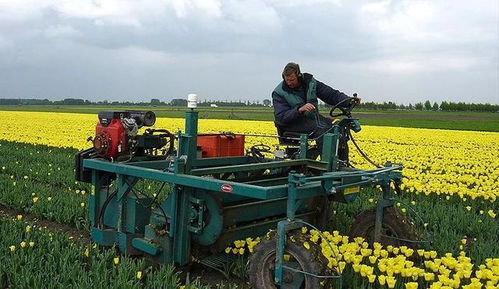 苗木行业的困境：人工成本的攀升