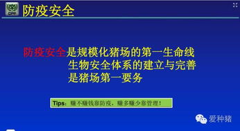 如何将猪场管理Zuo到防重于治，以管理为核心？