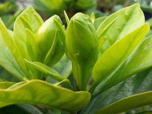 用途上的区别，你知道吗？