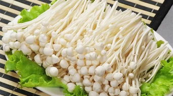 聊城小小金针菇，因品质优良