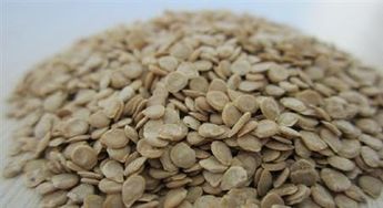 浸种催芽的技巧