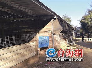 养鸡场选址需考虑水源、交通、环境等因素