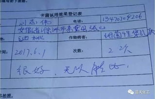 高温打农药，效果到底怎么样？