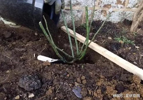 一、选地与挖坑