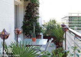 阳台上的绿色世界