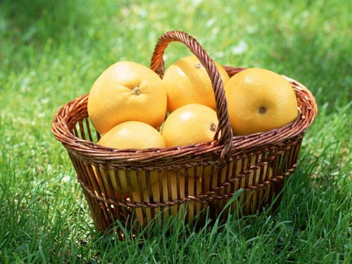 中国农业科学院2025年检测数据