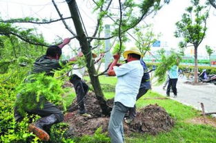 春季园林苗木施肥的学问，你懂了吗？