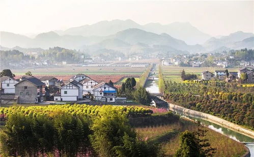 探寻花木之乡， 走进花园城市