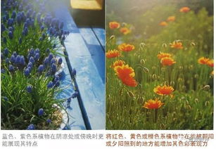 色彩的重量感，就像是个高矮不一的巨人