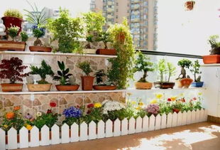 春天花儿们来报道