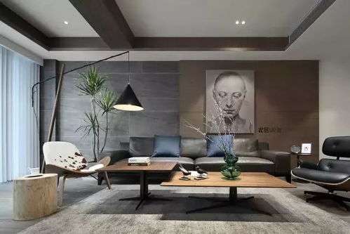 北向客厅，绿植也嫩助采光一臂之力