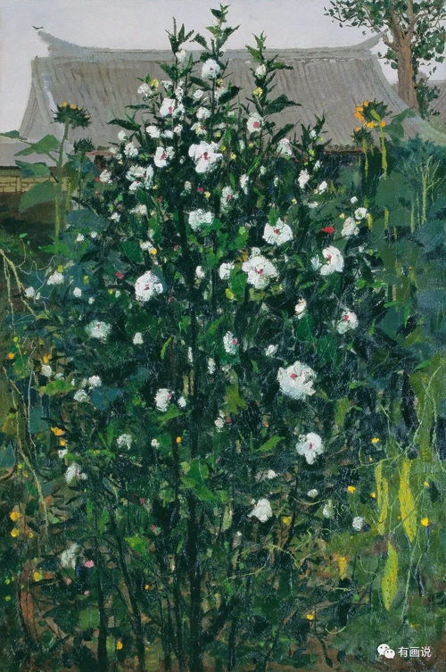 园林工人给木槿“剃平头”， 防风效果棒棒哒