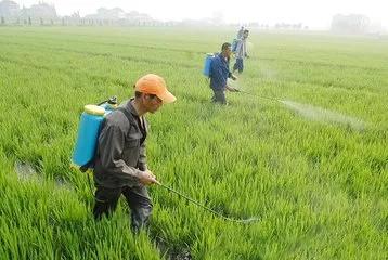 案例警示：烟台种植户的教训