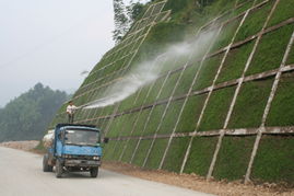 Q：7天成坪靠谱吗？