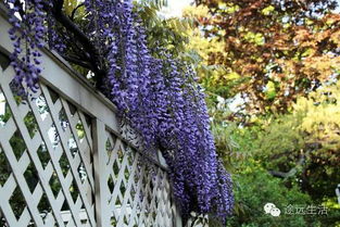 酸碱度与植物， 那可是有讲究的