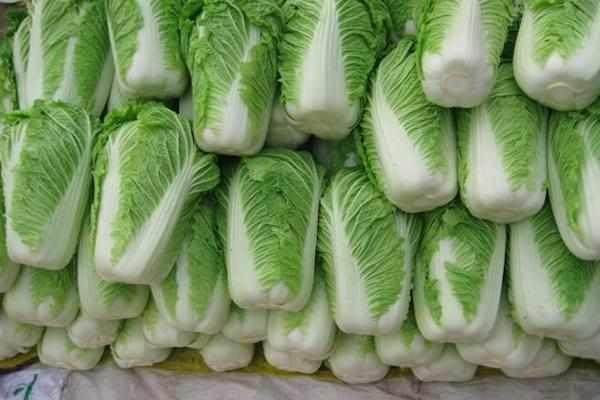 白菜：冬季常见菜