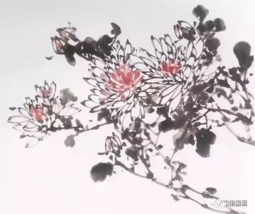 前半部分：菊花国画入门