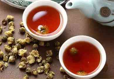 菊花熟普洱茶的功效有哪些？这些禁忌要注意吗