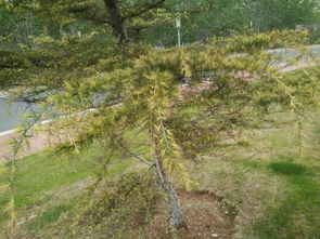 原因一：积水成灾