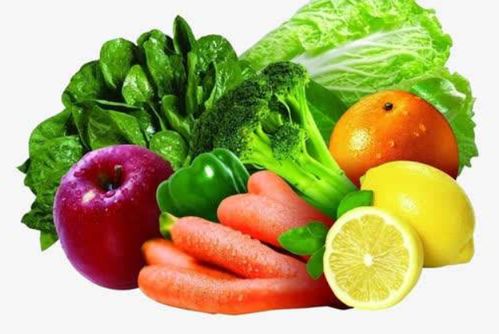 一、杨树：鸡的好伙伴