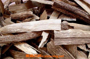 净化空气， 释放香气