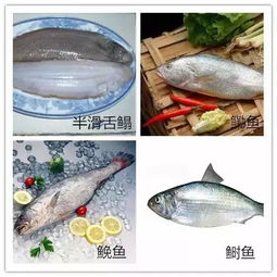 台州鲳鱼价格突涨，原因不明
