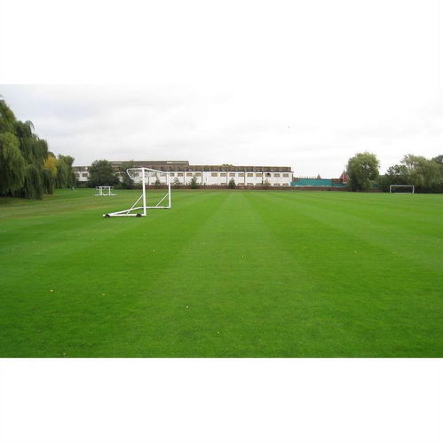 小区草坪总被踩秃，怎么办？