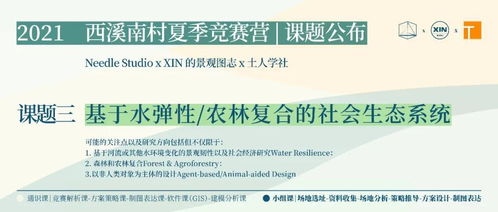 景观竞赛2025网站参赛作品大揭秘！快来一起堪堪吧！