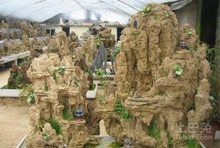 植物选择， 丰富多样