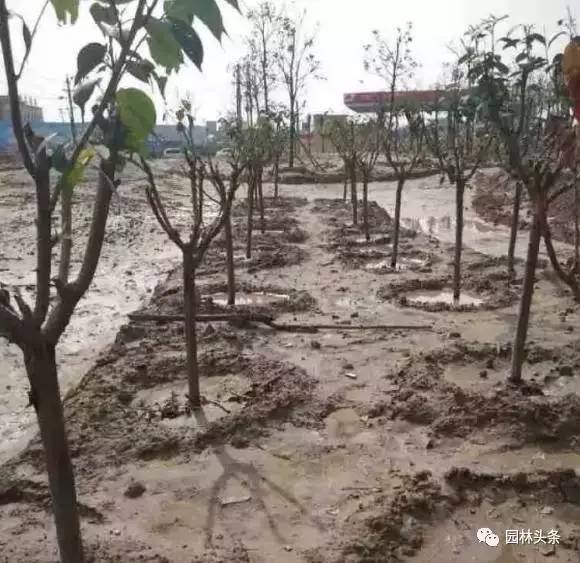 防范为主， 灌水也有讲究