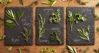 香草在传统医学与自然疗法中的应用