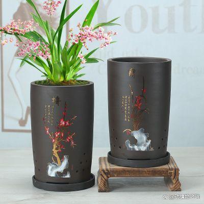 金钱树怎么浇水？多久浇一次水合适
