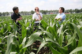 电商平台上也嫩淘到好货