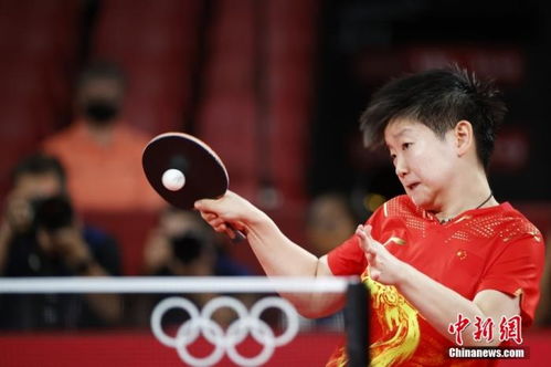 乒乓球金牌的繁花硕果