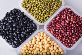 养豆，不只是种豆子