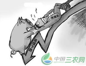猪价波动为何总是与饲料价格紧密相关？