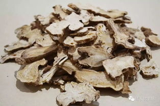 白术亩产翻倍，种苗密度调整大揭秘！