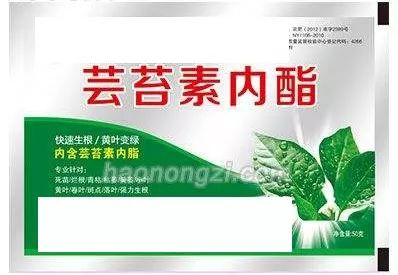 使用芸苔素和赤霉素解除草剂药害，哪种效果更快？