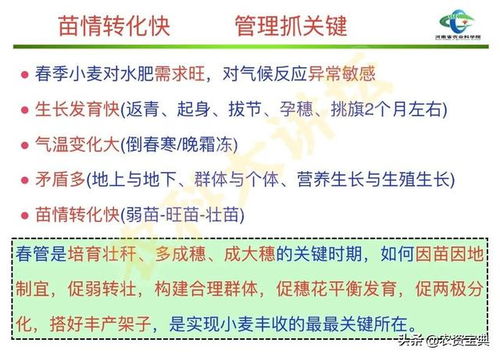 浇水施肥顺序：先浇水， 后施肥，科学又合理