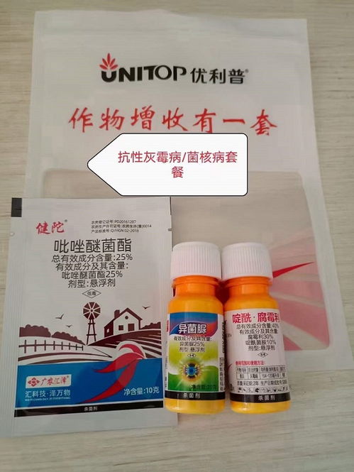下午打药的优缺点