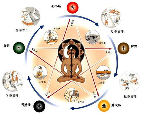 金属离子对人体的影响