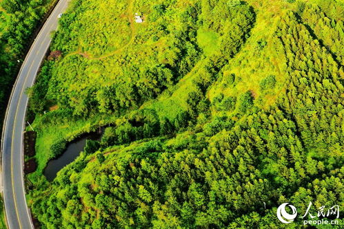 避开这些“娇气包”