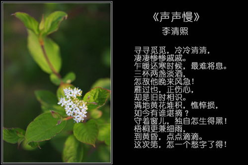 花语的共通感悟：敬畏自然 珍重生命