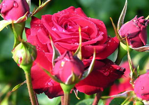 准备工作：选好地方，备好工具