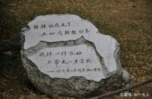 松柏：坚韧不拔的象征